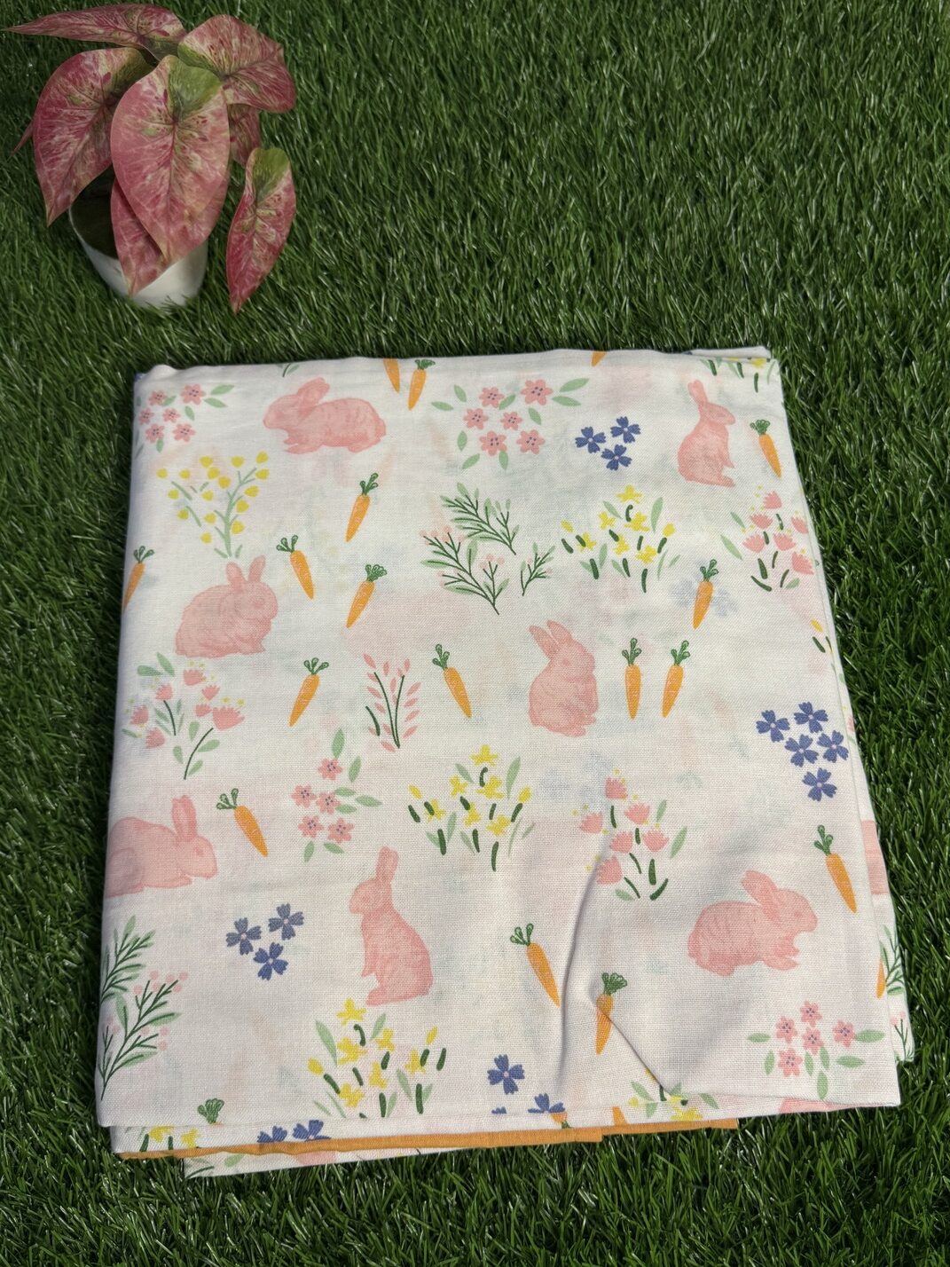 Handloom cotton border bedsheet - King size