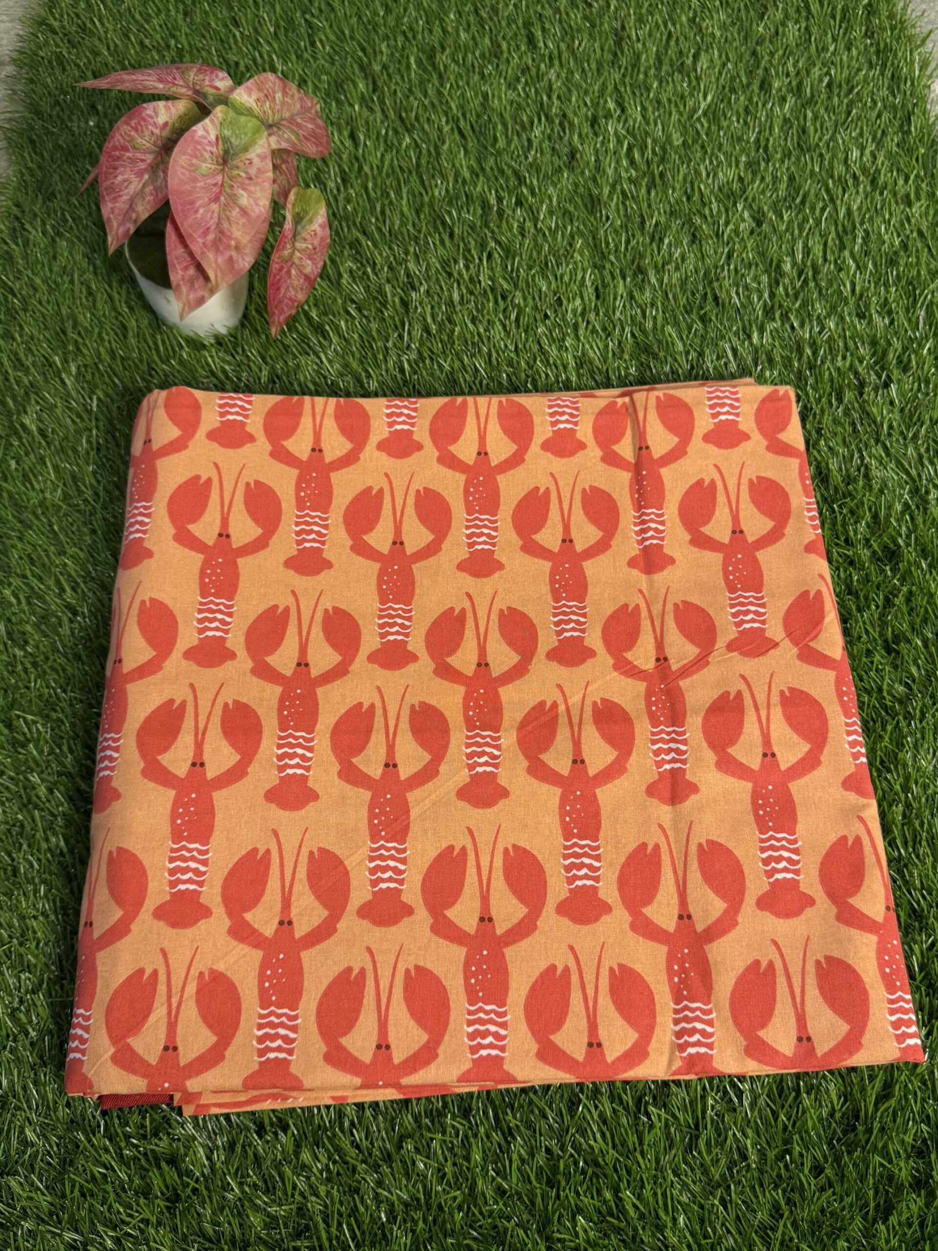 Handloom cotton border bedsheet - King size